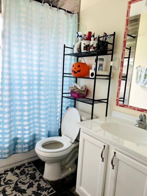 Room In Citrus Park And Carollwood, Close To The Airport & Downtown แทมปา ภายนอก รูปภาพ