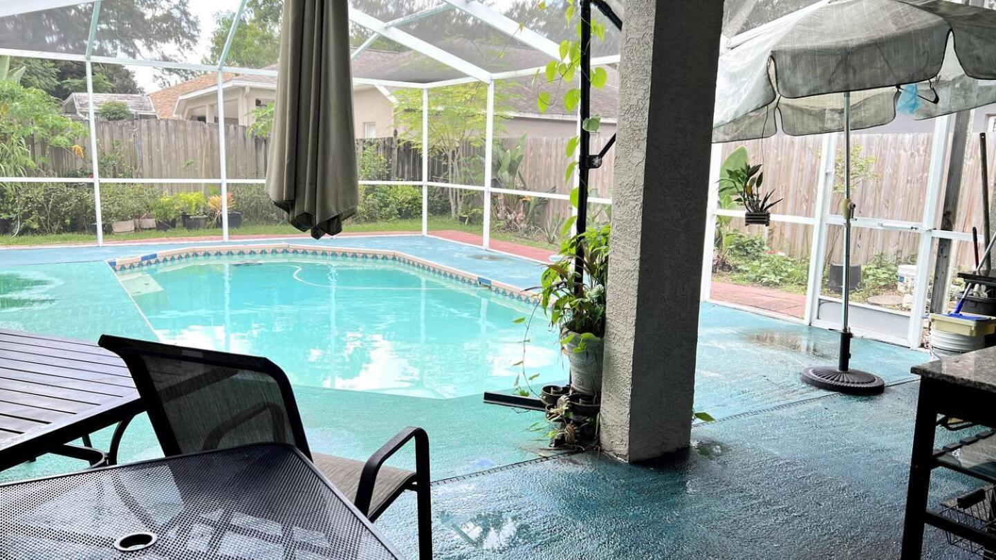 Room In Citrus Park And Carollwood, Close To The Airport & Downtown แทมปา ภายนอก รูปภาพ